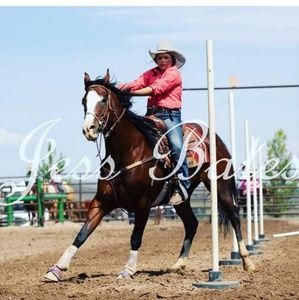 Meet your Posher, Taylor